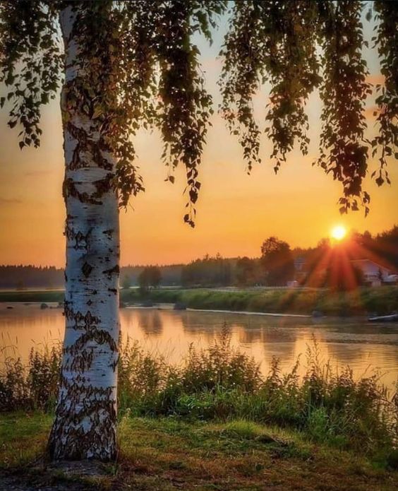 Майское утро