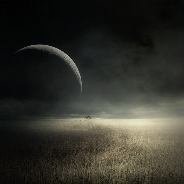 На грани войны