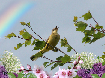 Апофеоз чарующей весны