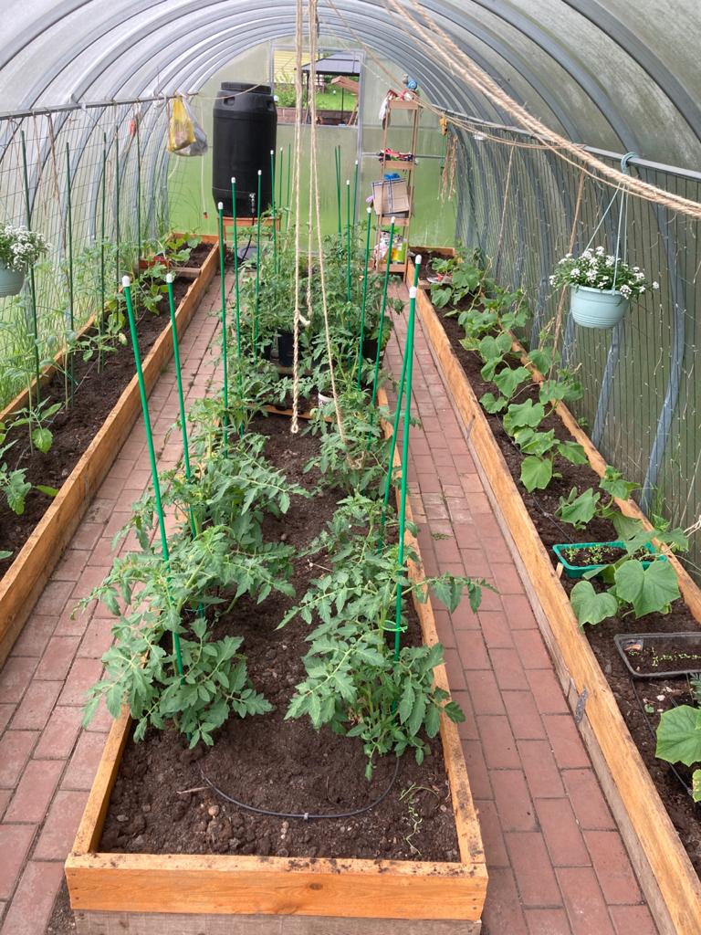 Тепличная радость