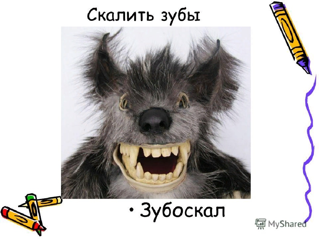 ракдос мтг. зубоскал. злой ленивец. зубоскал. зубоскал.