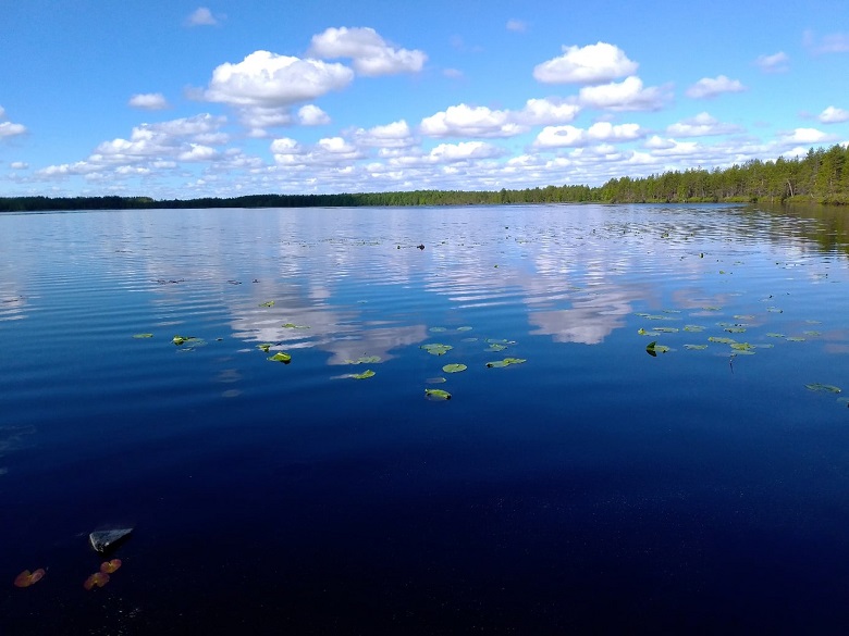 Укромные места уединений