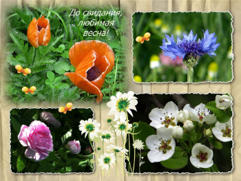 Весна уходит