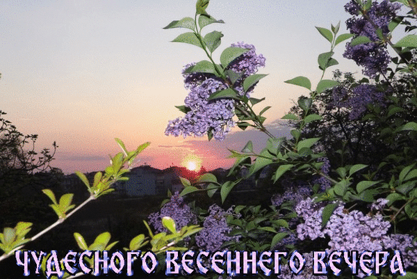 Добрый Вечер Необычные Картинки Природа