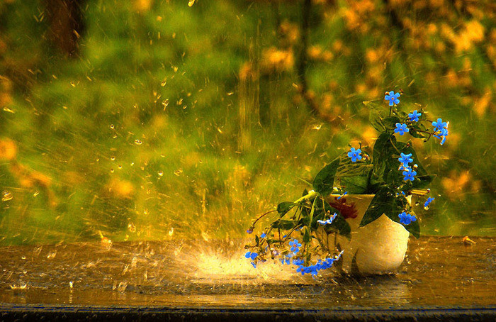 А в июне идут дожди