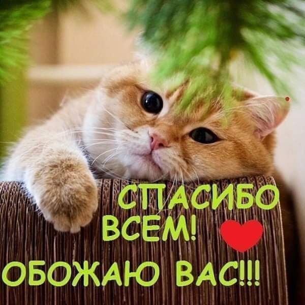 Супер - Опрос!!!