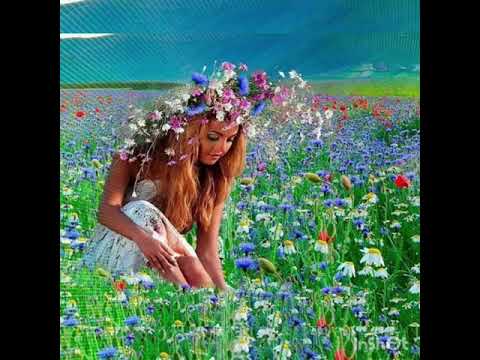 Остановите лето! песня