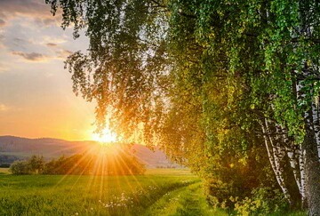 Осень. Желтые листья ложатся... с белорусского