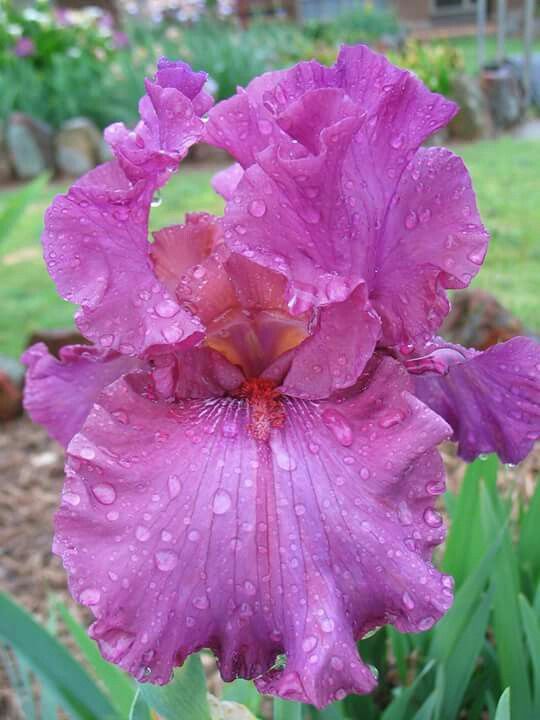 Вечный вкус!