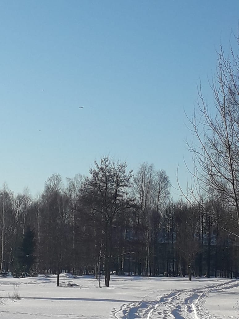 Спасибо, февраль