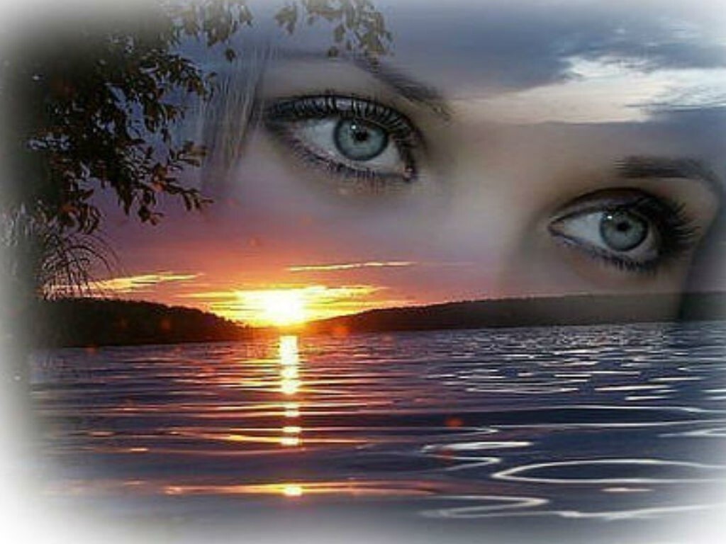 Ищи спасения в стихах