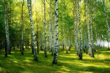 штиль плюс штиль на много миль