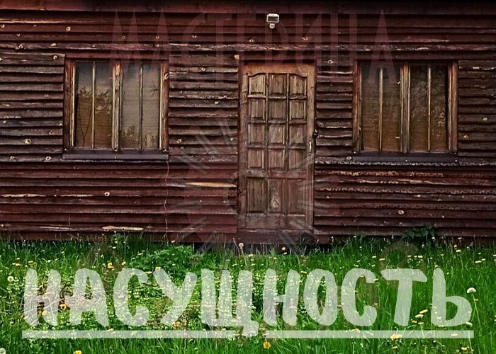 Насущность