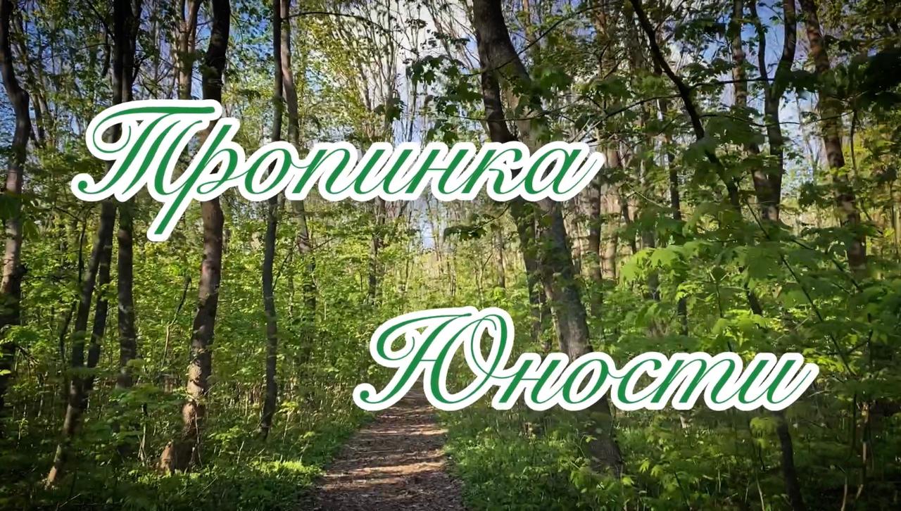 Я шагаю по этой тропинке... (Мария Соломина) / Стихи.ру