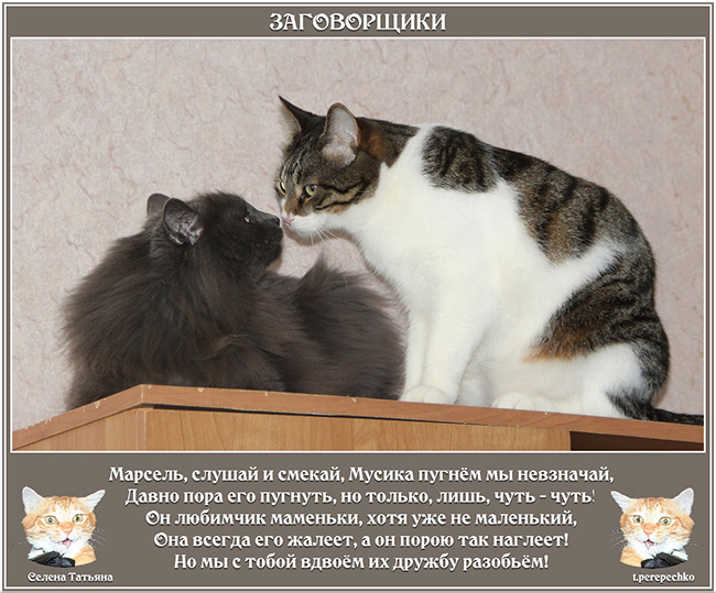 Заговорщики