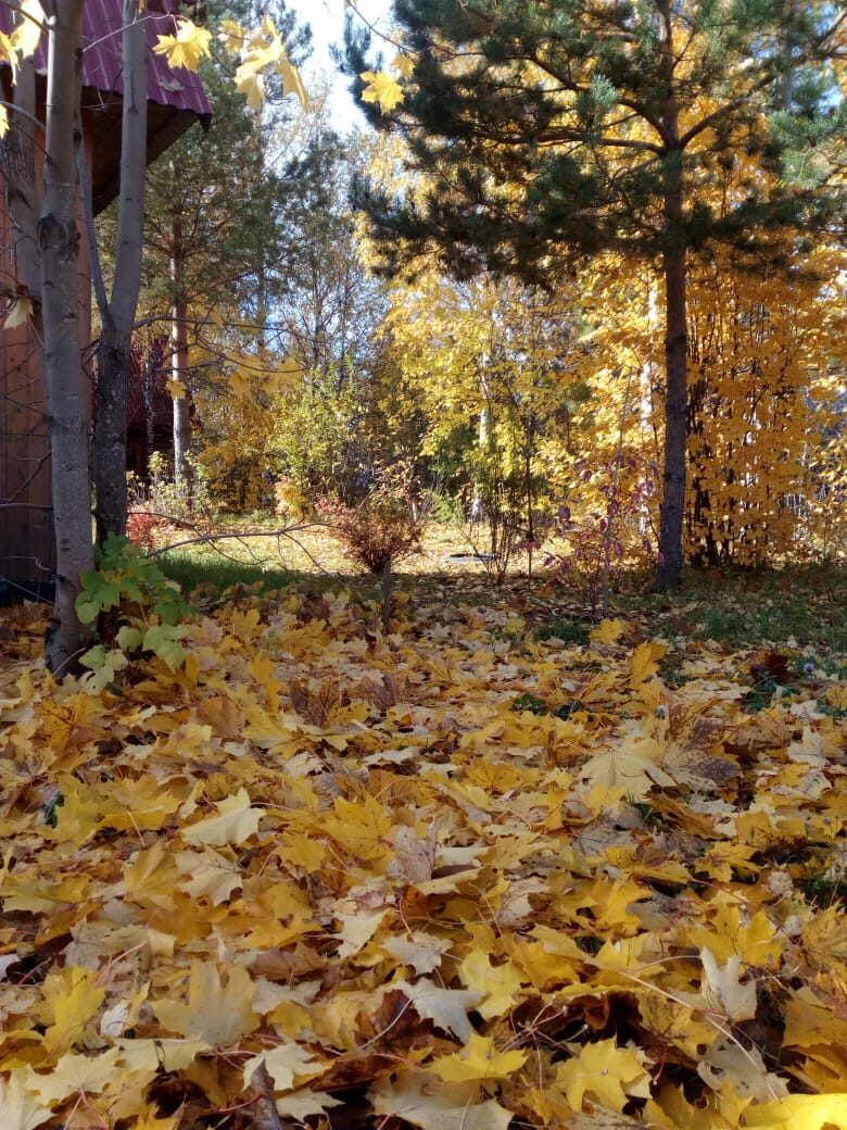 Прощай, лето