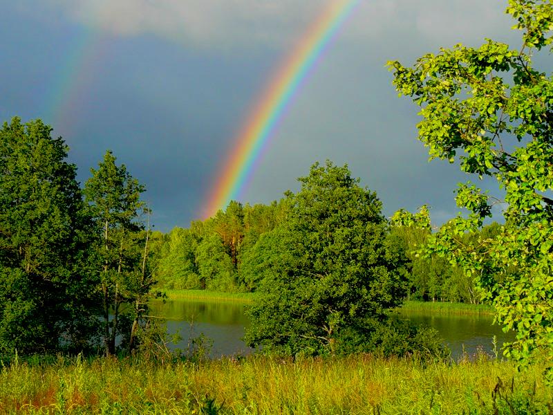Радуга