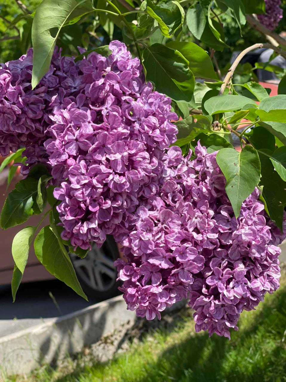 Колодцы продолжение