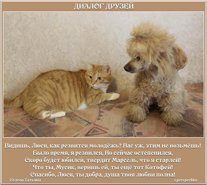 Диалог друзей