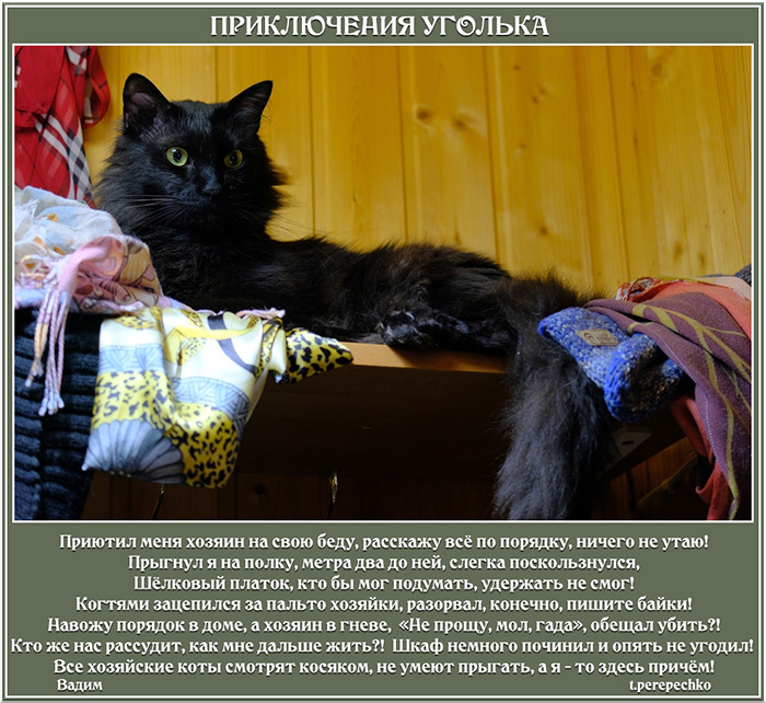 Приключения Уголька