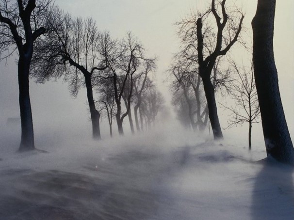 Белая стена