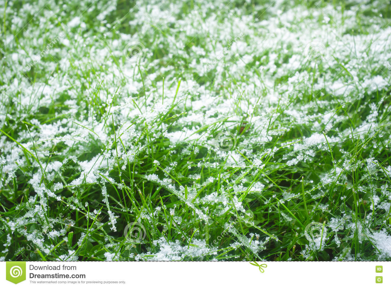 Осенний роман