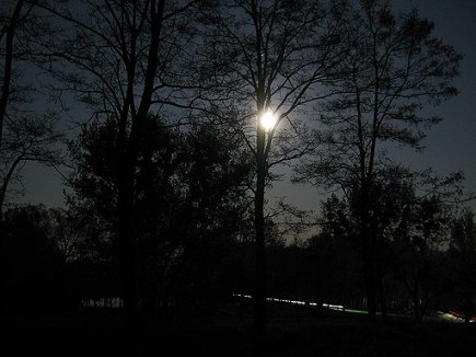 Булка хлеба