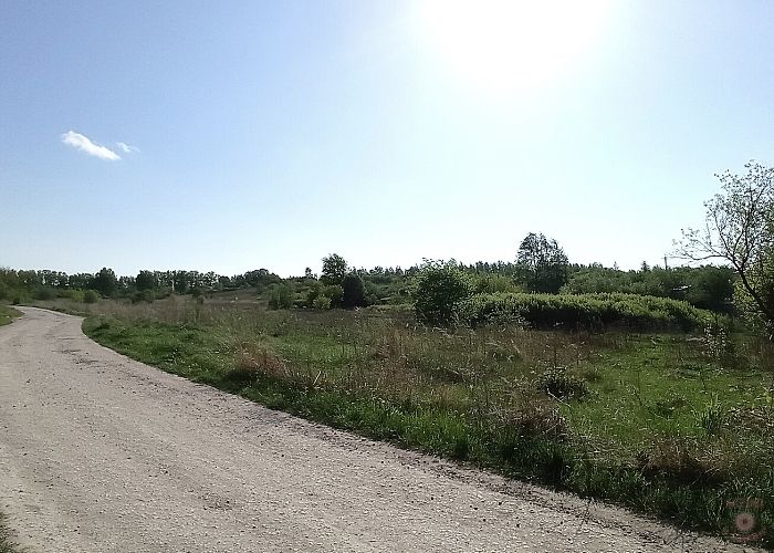 Принц на белом коне