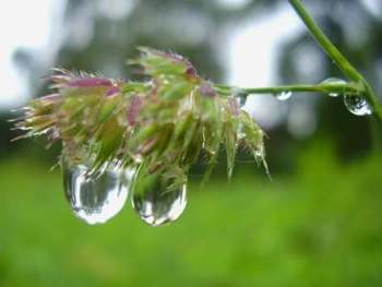 Летняя гроза