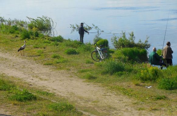 Аист и рыбаки