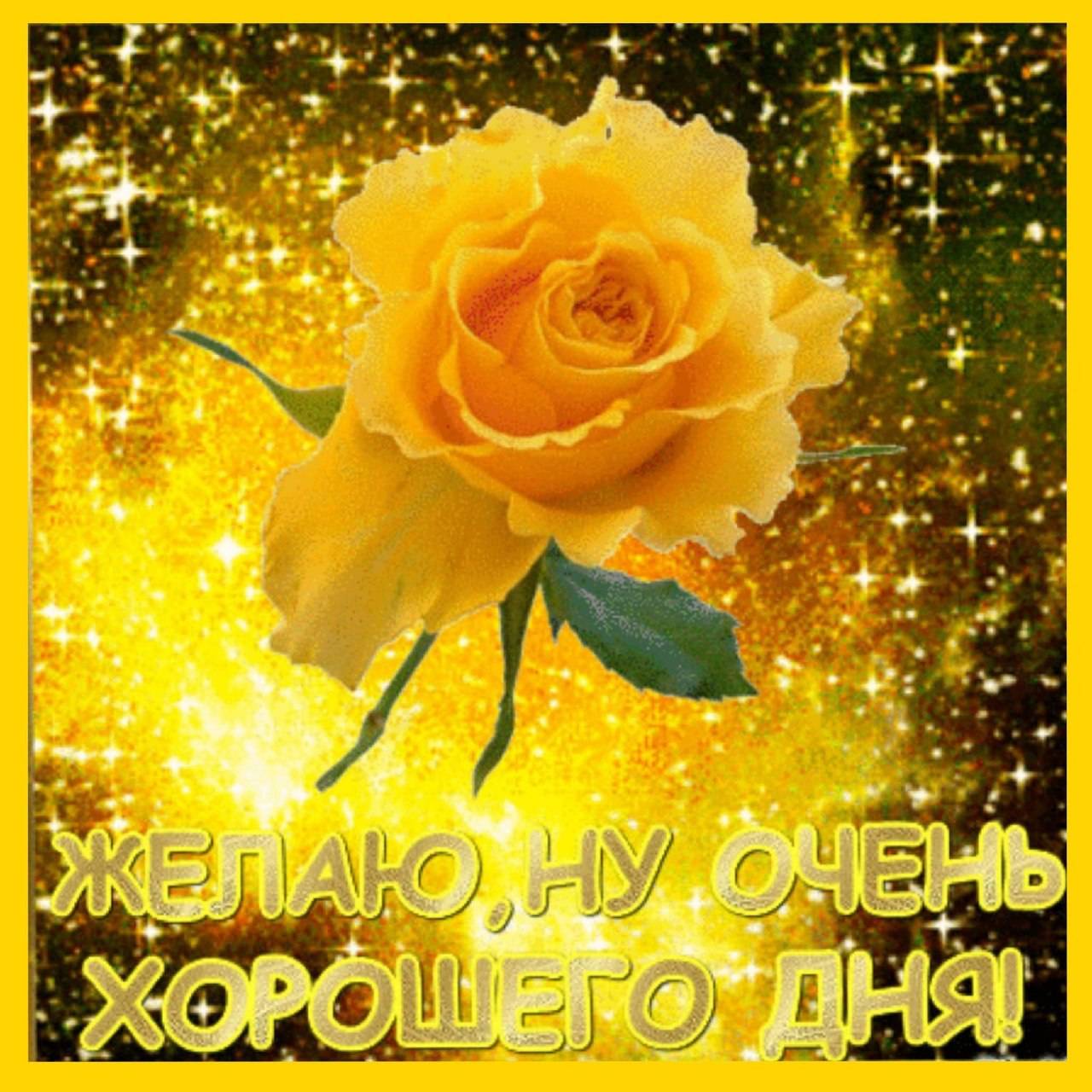Добрый день гиф