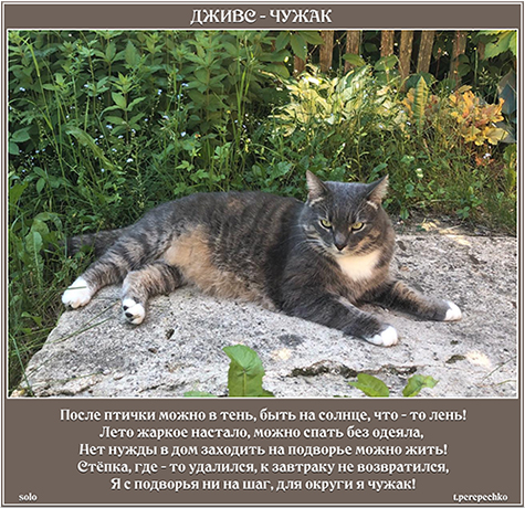 Дживс - чужак