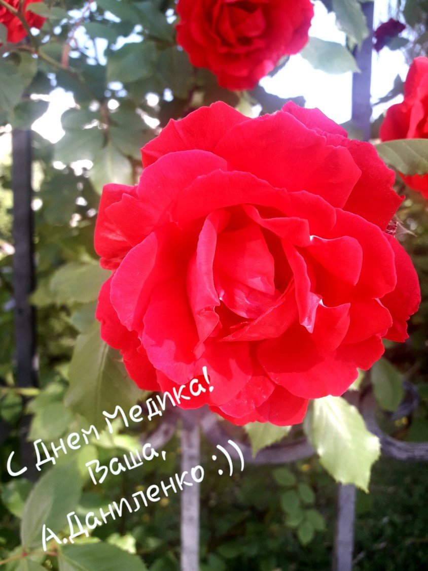 Медицинские