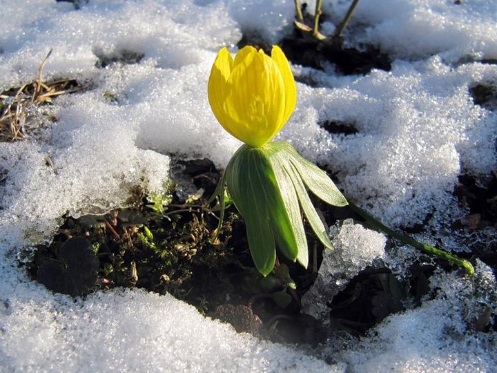 День уходит