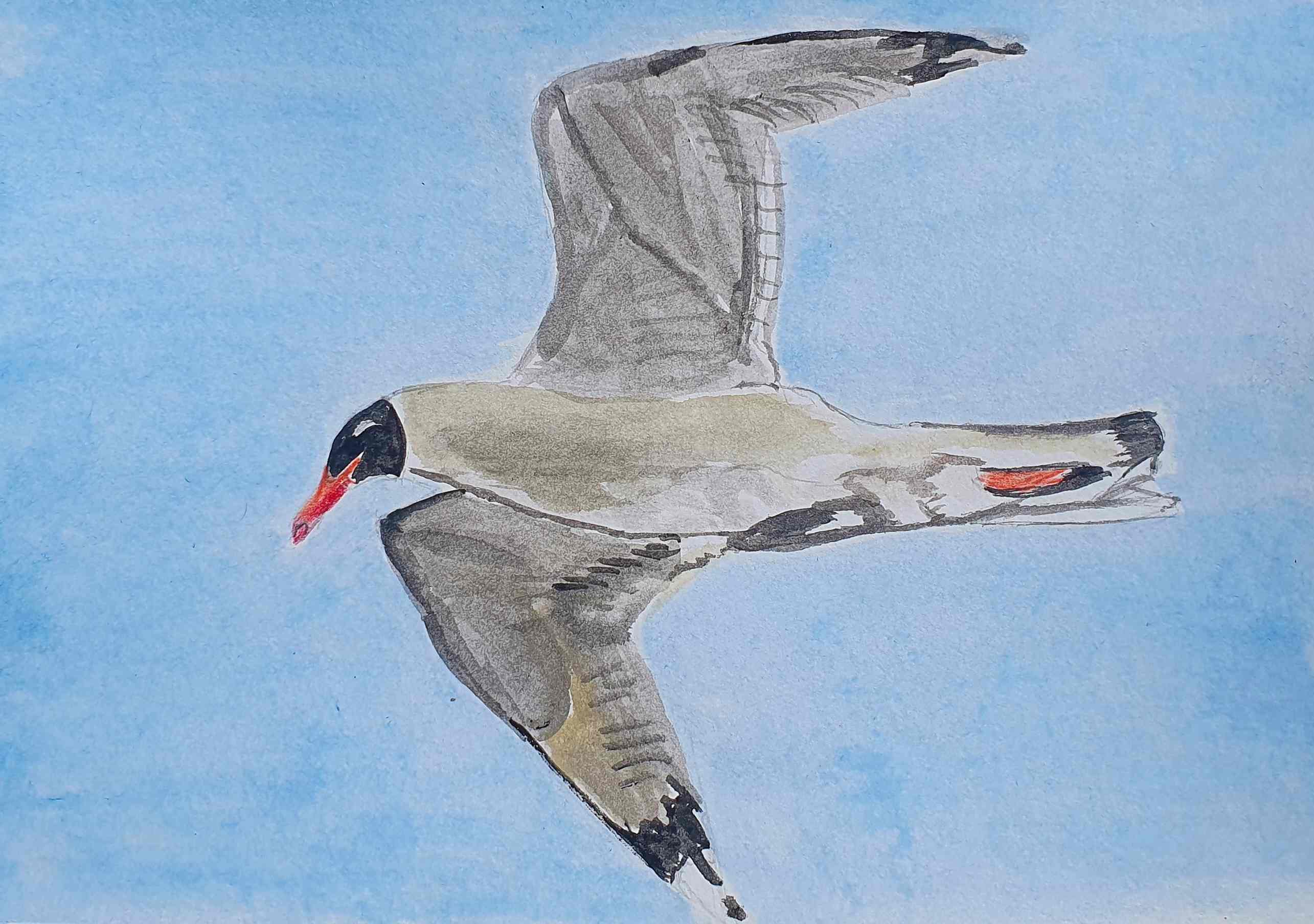 Черноголовый хохотун