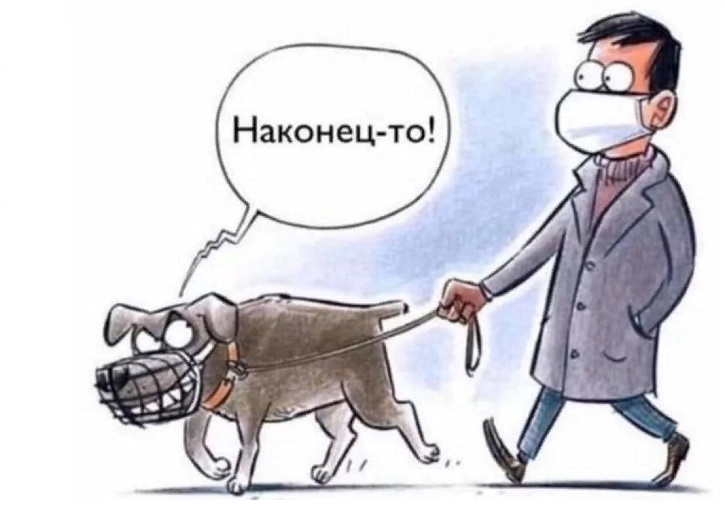 Намордники