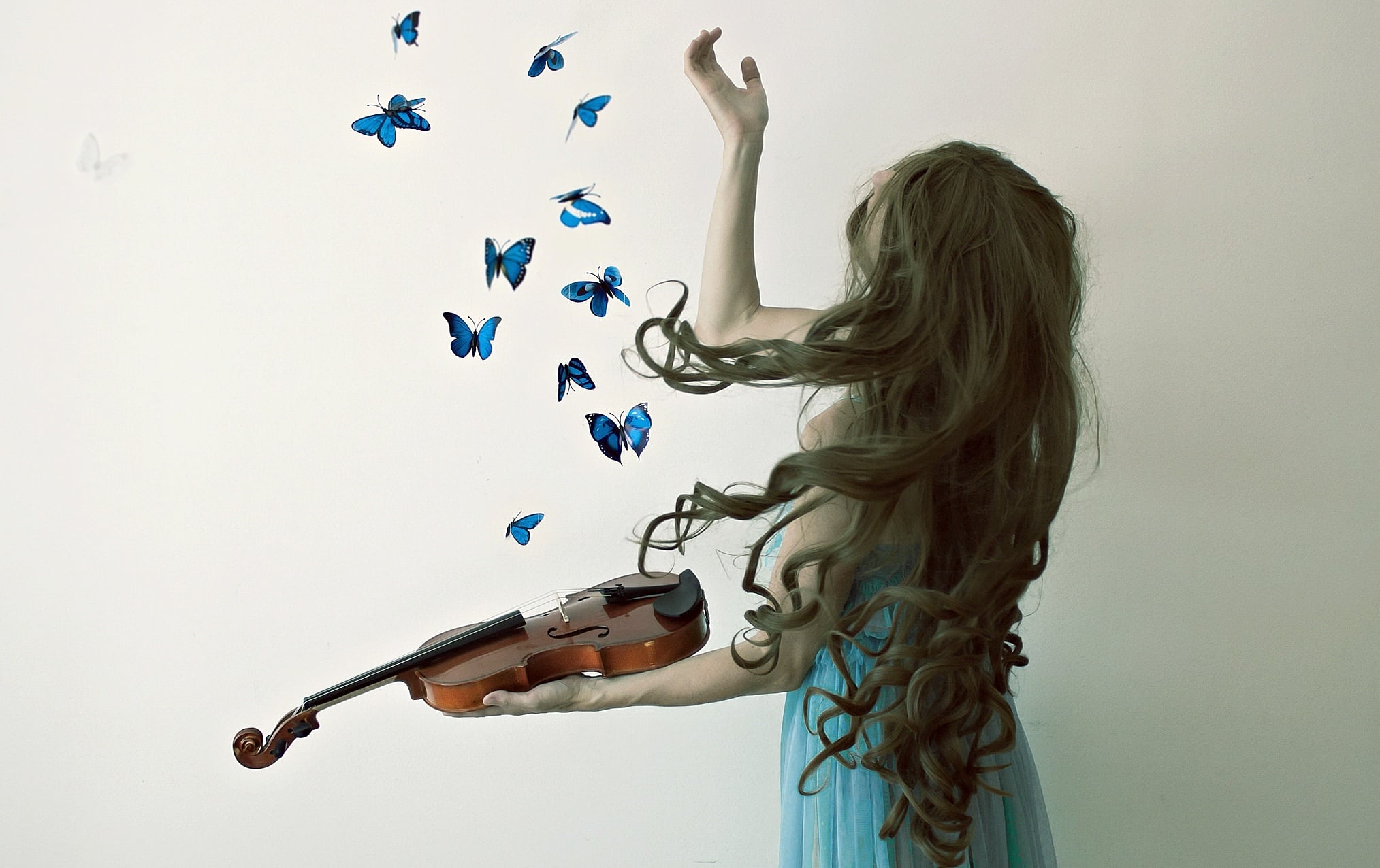 Скрипка боль. Девушка-бабочка. Девушки со скрипкой. Девочка со скрипкой. Скрипка в руках.