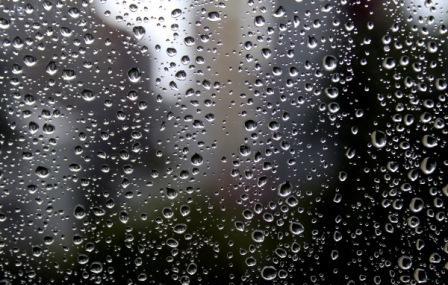 Дождь прошёл...