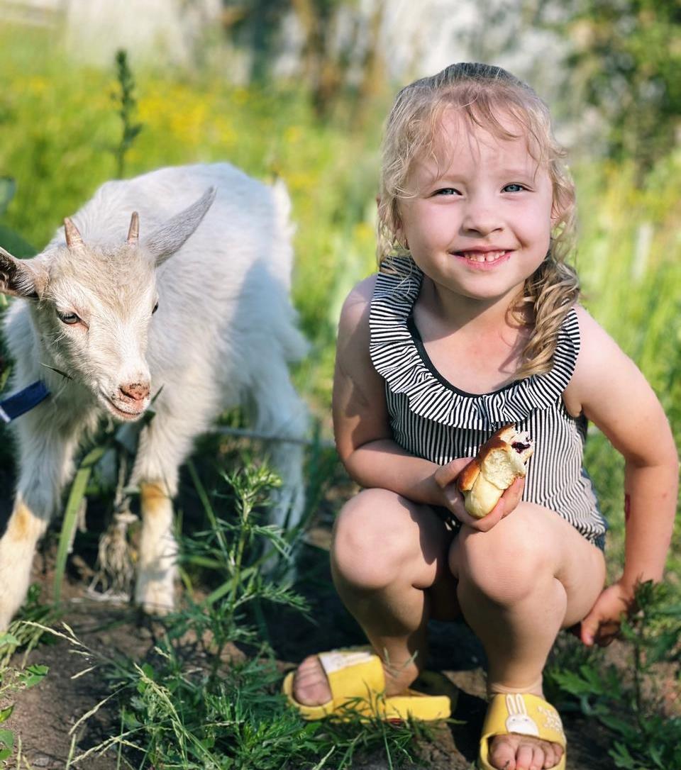 Над лужайкой возле дачи (Юрий Гардаш) / Стихи.ру