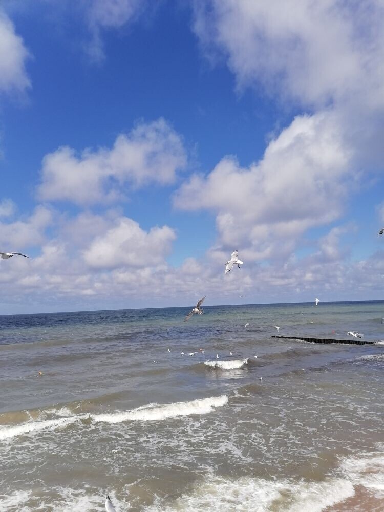 Вечны лишь любовь и море