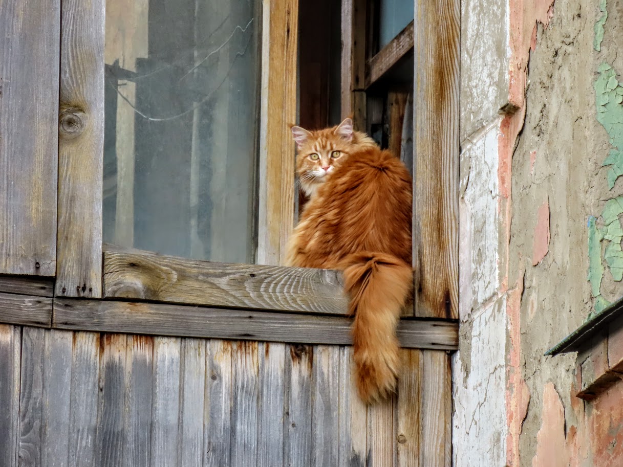 Без права на ошибку