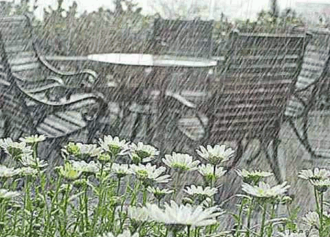 Летний дождь