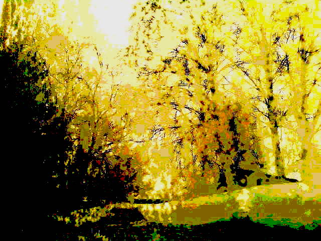 Осень - чудо на Руси!