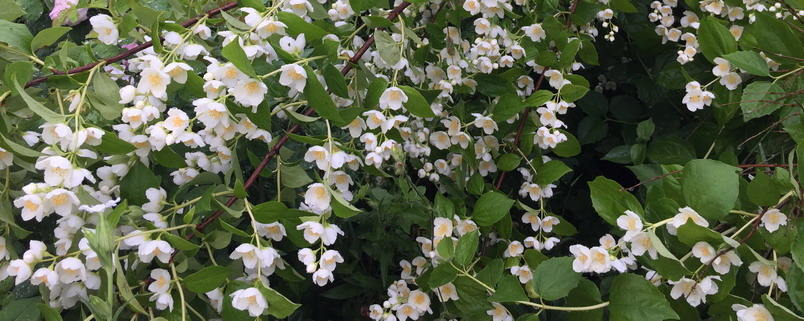 Долгий взрыв