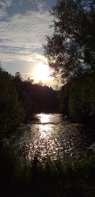 Под звёздным небом