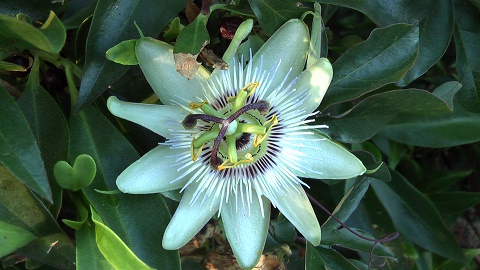 Поговори со мною