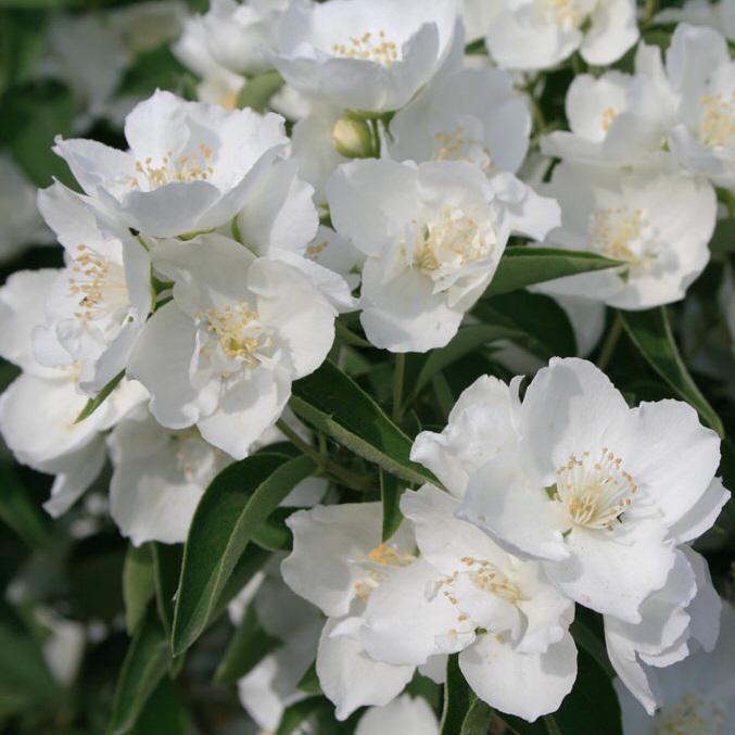 А я не знаю, как об этом написать