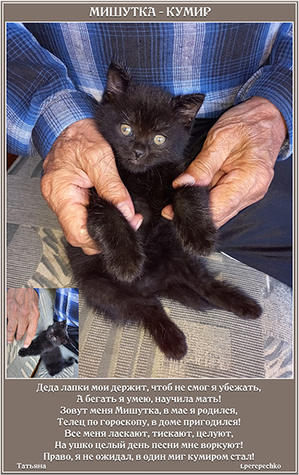 Мишутка - кумир