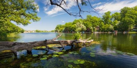 Посвящение Лете Гордеевой