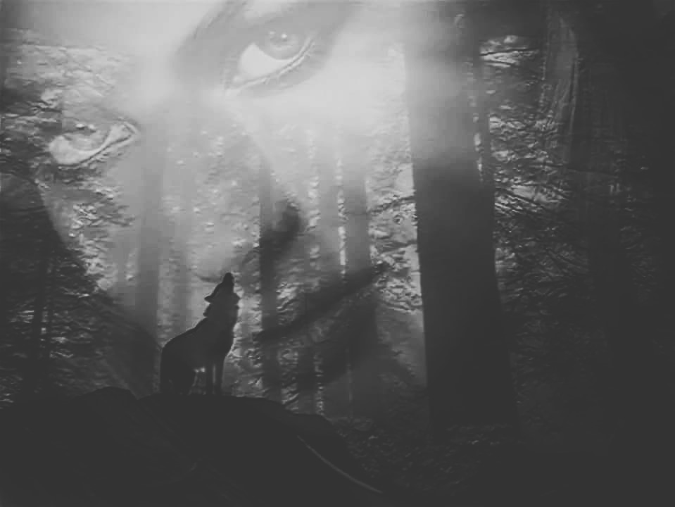 Любовь и проклятие полной Луны часть 2